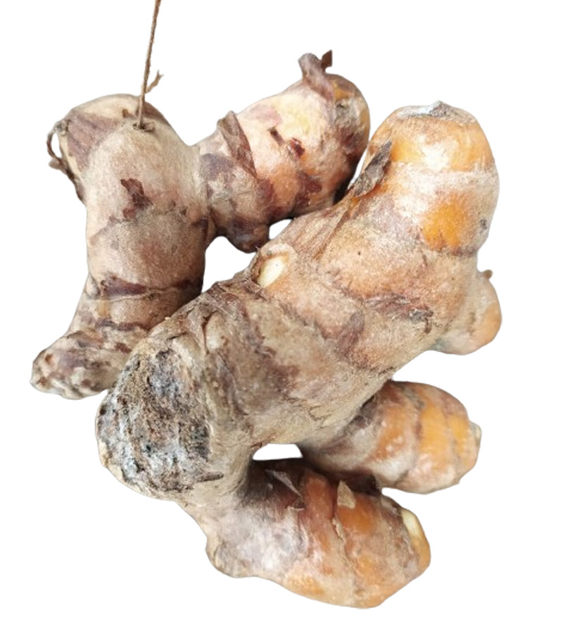 Turmeric